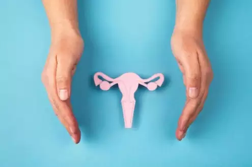 ¿Que es la vaginoplastia (Labioplastia)? | Precio en Turquía